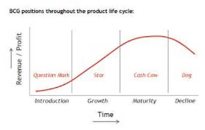 BCG Lifecycle